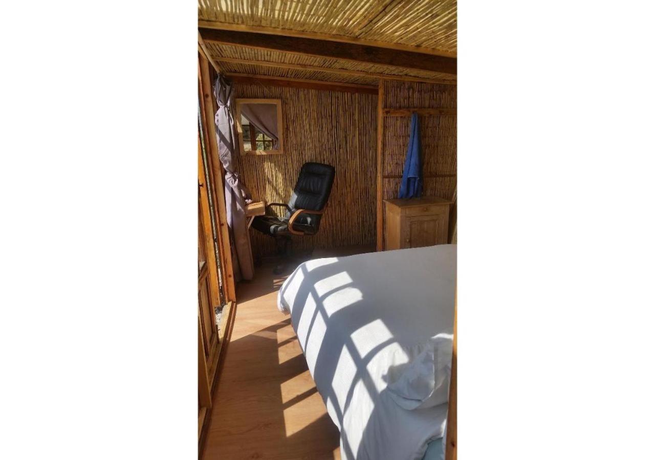 Treehouse ,Casa Arbol, With Spa Альгарробо Экстерьер фото