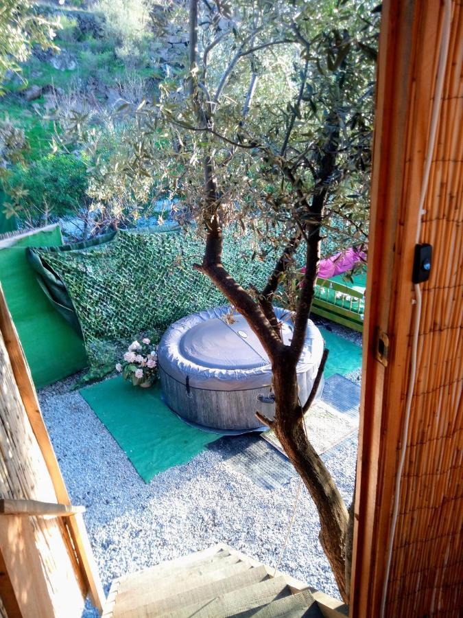Treehouse ,Casa Arbol, With Spa Альгарробо Экстерьер фото